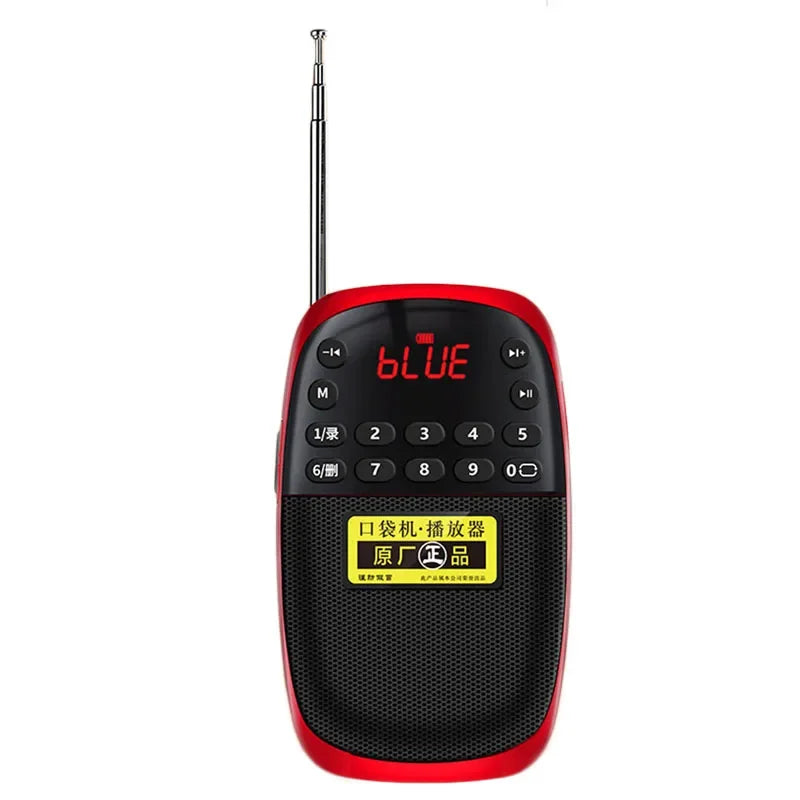 Portable FM Radio Bluetooth Speaker Mini MP3 Music Player Recorder With LED Display Support Handsfree TF Card Internal Recording