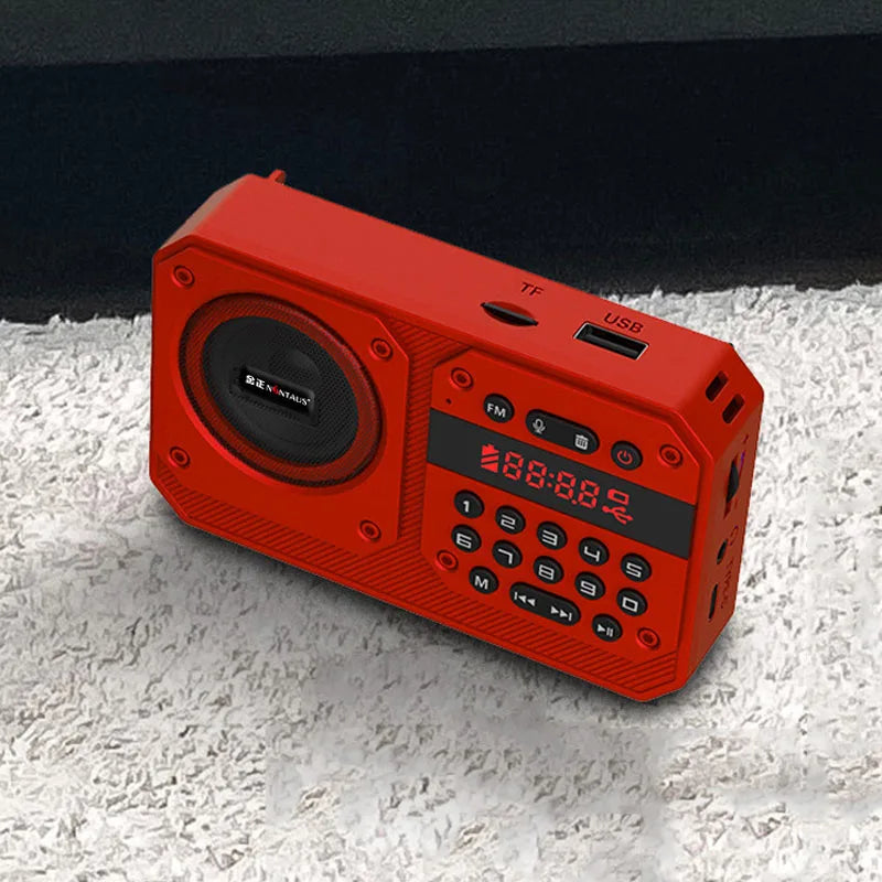 Mini Portable FM Radio High Sensitivity Radios Receiver Wireless Hifi Bluetooth Speaker with Mic Support Recording TF USB Play