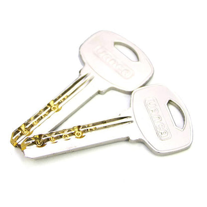 Clear Mul-T-Lock Practice Lock