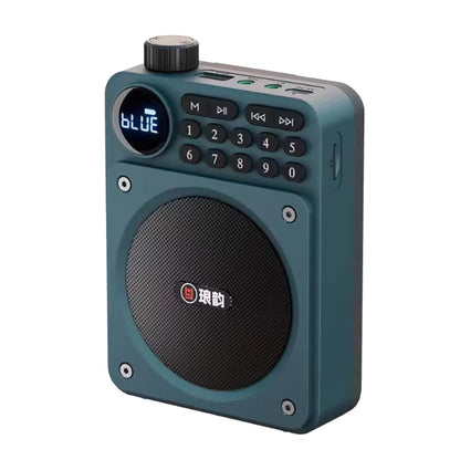Mini Portable FM Radio Removable Rechargeable Battery Radios Receiver Bluetooth Speaker TF USB Music Player HD Voice Amplifier