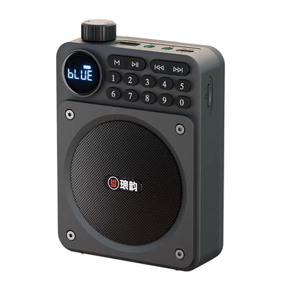 Mini Portable FM Radio Removable Rechargeable Battery Radios Receiver Bluetooth Speaker TF USB Music Player HD Voice Amplifier