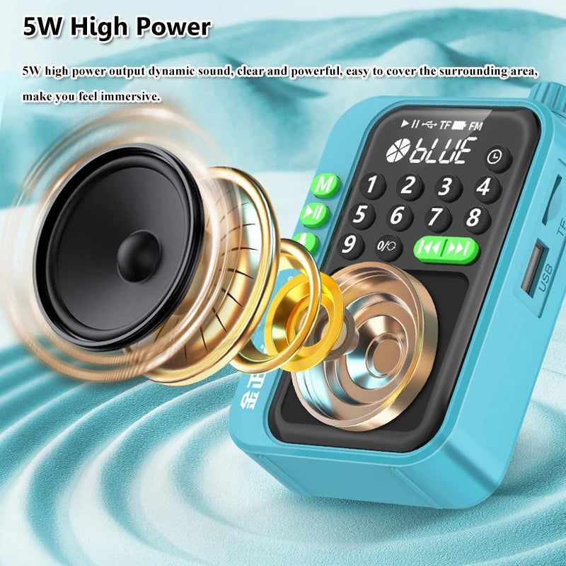 Mini Pocket FM Radio High Sensitivity Digital Radios Receiver Wireless Bluetooth Speaker with LED Display Recording Sleep Timer