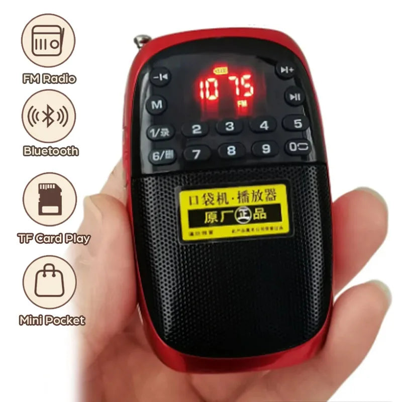 Portable FM Radio Bluetooth Speaker Mini MP3 Music Player Recorder With LED Display Support Handsfree TF Card Internal Recording