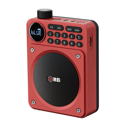 Mini Portable FM Radio Removable Rechargeable Battery Radios Receiver Bluetooth Speaker TF USB Music Player HD Voice Amplifier