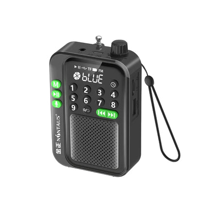 Mini Pocket FM Radio High Sensitivity Digital Radios Receiver Wireless Bluetooth Speaker with LED Display Recording Sleep Timer