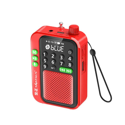 Mini Pocket FM Radio High Sensitivity Digital Radios Receiver Wireless Bluetooth Speaker with LED Display Recording Sleep Timer