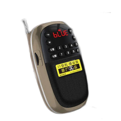 Portable FM Radio Bluetooth Speaker Mini MP3 Music Player Recorder With LED Display Support Handsfree TF Card Internal Recording