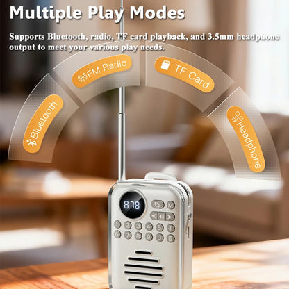 Mini Portable FM Radio HD Display Digital Radios Recevier  Wireless Bluetooth Speaker Voice Recorder Rechargeable TF Card  Playe