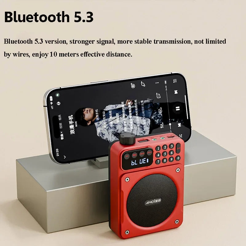 Mini Portable FM Radio Removable Rechargeable Battery Radios Receiver Bluetooth Speaker TF USB Music Player HD Voice Amplifier