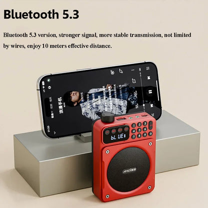 Mini Portable FM Radio Removable Rechargeable Battery Radios Receiver Bluetooth Speaker TF USB Music Player HD Voice Amplifier